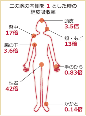 画像の説明